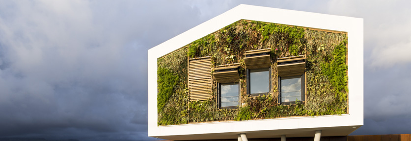 Bureaux Akuo Energy (Saint Pierre) - MO : SCI TANAMBO / MOE : ALTITUDE 80 / BE GREEN ENGINEERING / ABTEC (crédit photo © Arnaud Andrieu)